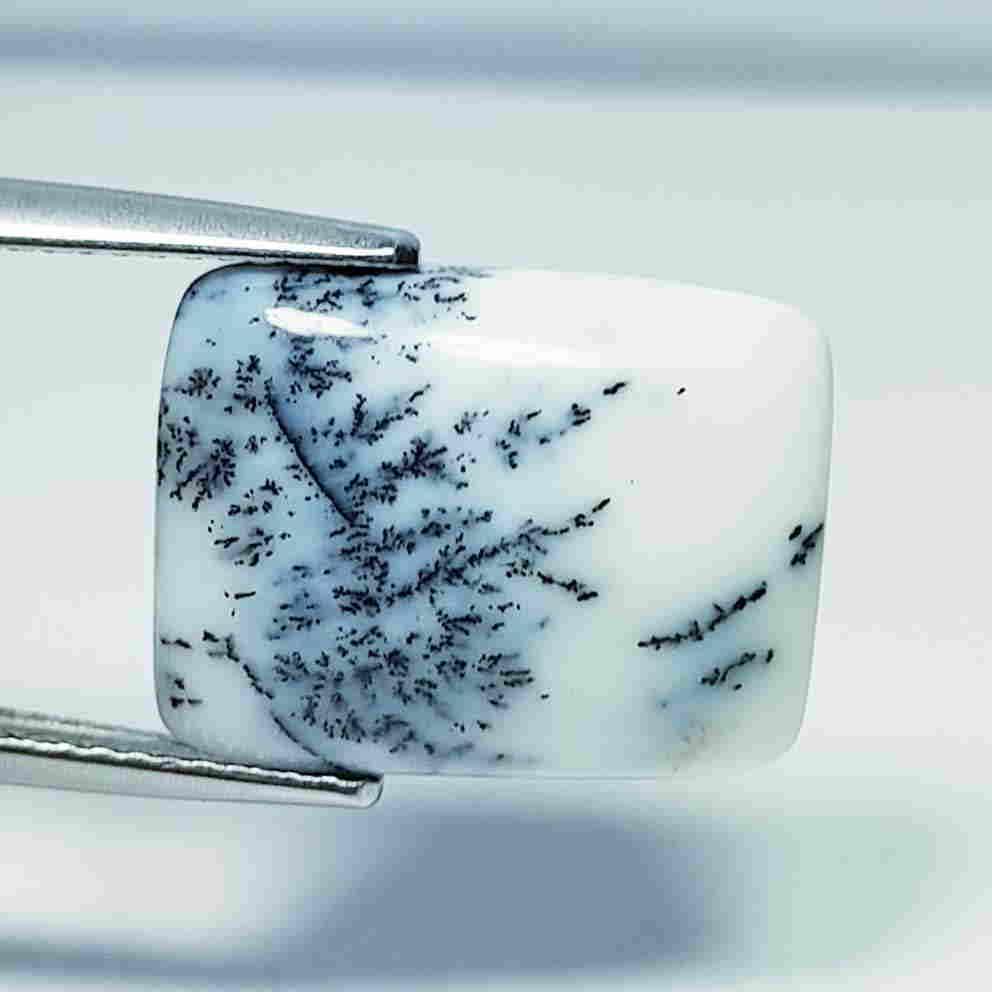 6.41 ct Natural Dendrite Opal: No Reserve! Title: 6.41 ct Natural Dendrite Opal Color/Clarity: Opaque Loosegemstone Carat Weights: 6.41 Size/Dimensions: 16.30 x 12.50 x 4.30 Additional Information: Octagon / Australia Shipping: Dom