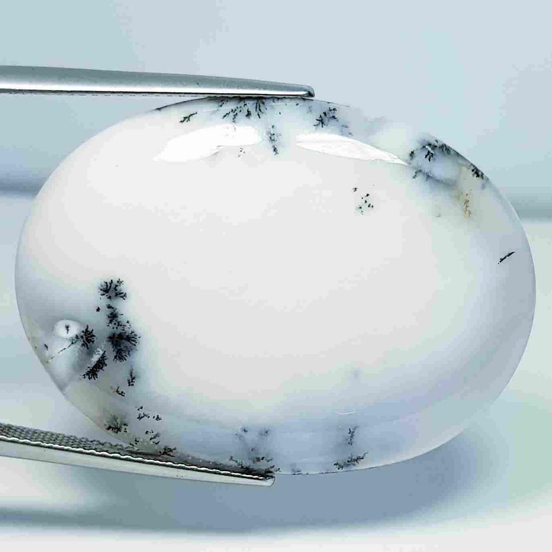 41.03 ct Natural Dendrite Opal: No Reserve! Title: 41.03 ct Natural Dendrite Opal Color/Clarity: Opaque Loosegemstone Carat Weights: 41.03 Size/Dimensions: 37.35 x 27.40 x 5.10 Additional Information: Oval / Australia Shipping: Dome