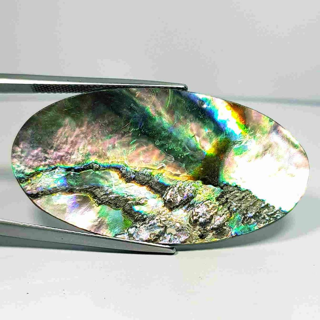 19.79 ct Natural Australian Abalon: No Reserve! Title: 19.79 ct Natural Australian Abalon Color/Clarity: Opaque Loosegemstone Carat Weights: 19.79 Size/Dimensions: 41.15 x 21.90 x 3.15 Additional Information: Oval - Australia Shipping: 