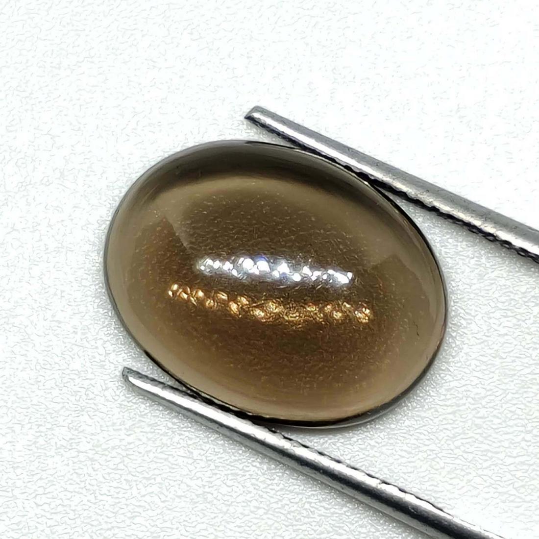 7.35 ct Natural Smoky Quartz: No Reserve! Gemstones: Smoky Quartz Carat Weights:7.35 ct Size/Dimensions: 16 x 12 x 5 mm Origin : Scotland Shipping: Domestic: Flat-rate of $7.00 to anywhere within the contiguous U.S. International: