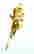 item-117810840=2