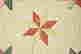 item-117821421=20