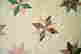 item-117821421=4