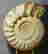 item-117846069=2