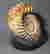 item-117846078=2