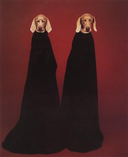 WILLIAM WEGMAN - Innocence and Guilt, 1990: Artist: William Wegman Title: Innocence and Guilt, 1990 Medium: Photo Litho, 1999, Hong Kong Dimensions: 6.9x8.45" Description: Heat Wax Mounted on 11x14" Conservation Board Artist Bio: William Wegman