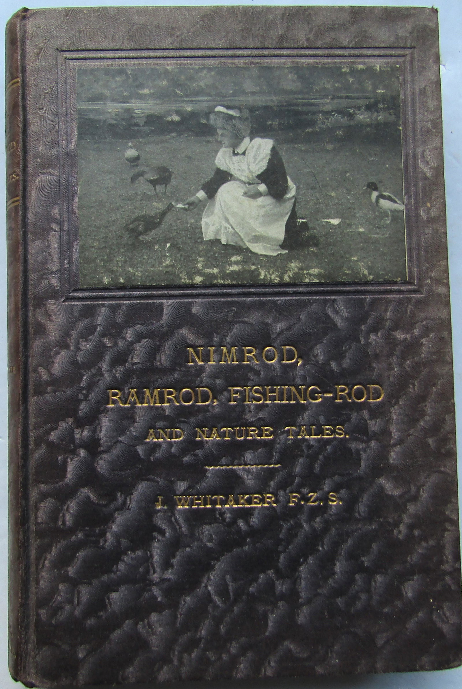 Nimrod, Ramrod, Fishing-Rod and Nature Tales (1 of 4)