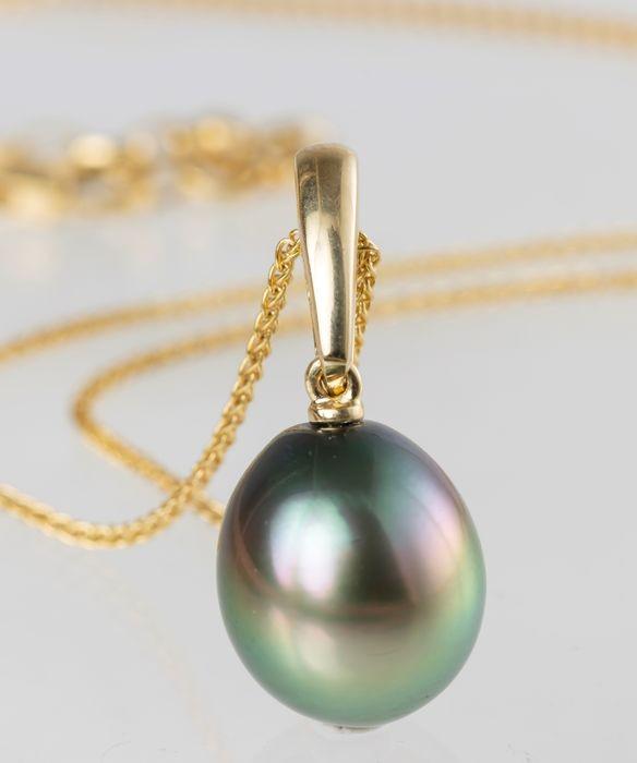 11x12mm Peacock Tahitian Pearl Drop - 14 kt. Yellow: Title: 11x12mm Peacock Tahitian Pearl Drop - 14 kt. Yellow gold - Necklace with pendant Description: Emerging from the tropical lagoons of French Polynesia, this Tahitian pearl has been hand selected 