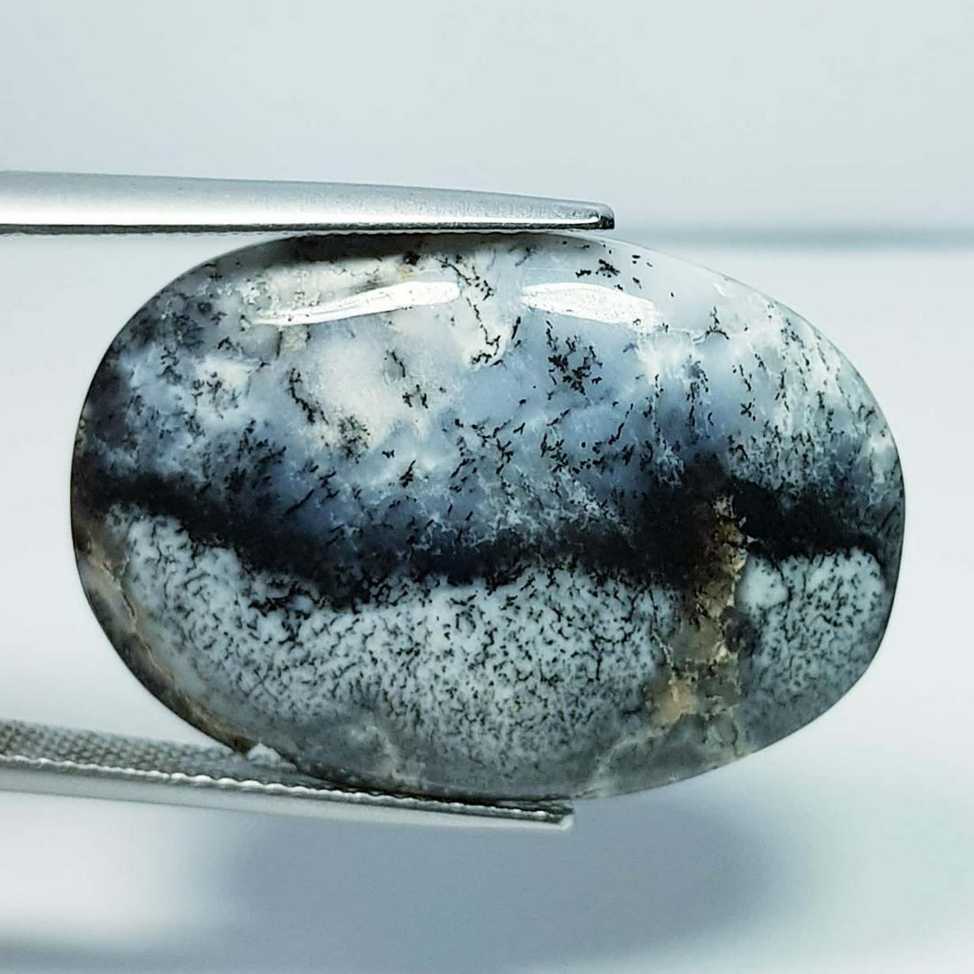 21.50 ct Natural Dendrite Opal: No Reserve! Title: 21.50 ct Natural Dendrite Opal Color/Clarity: Opaque Carat Weight: 21.5 Size/Dimension: 29.60 x 20.60 x 4.60 Additional Information: Oval / Australia Shipping: Domestic: Flat-rate