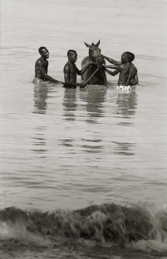 SAM SHAW - Horse Handlers In Tobago, 1959: Artist: Sam Shaw Title: Horse Handlers In Tobago, 1959 Medium: Photo Litho, 2010, Germany Dimension:6.55x10.1" Description: Heat Wax Mounted on 11x14" Conservation Board Artist Bio: Photographer Sam S