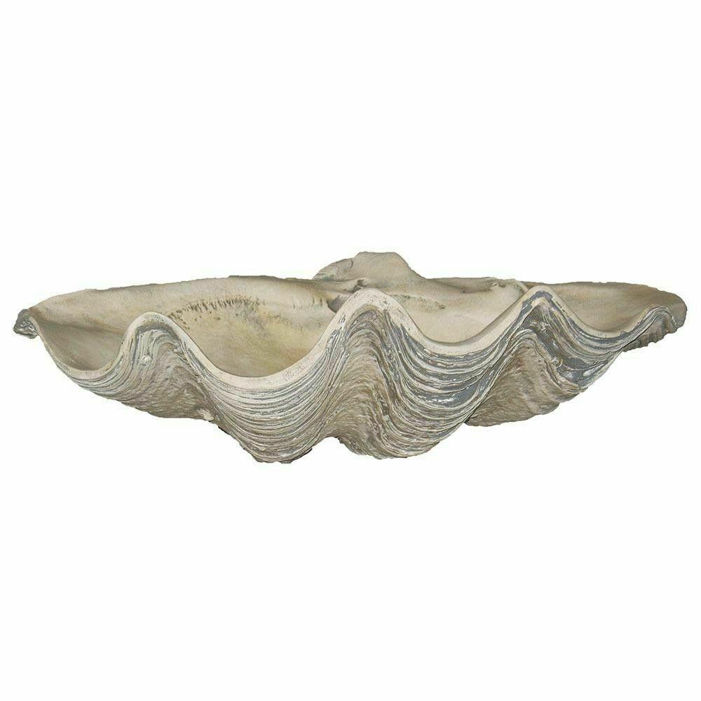 Clam handcrafted Shell home indoor decoration Seashell (1 of 3)