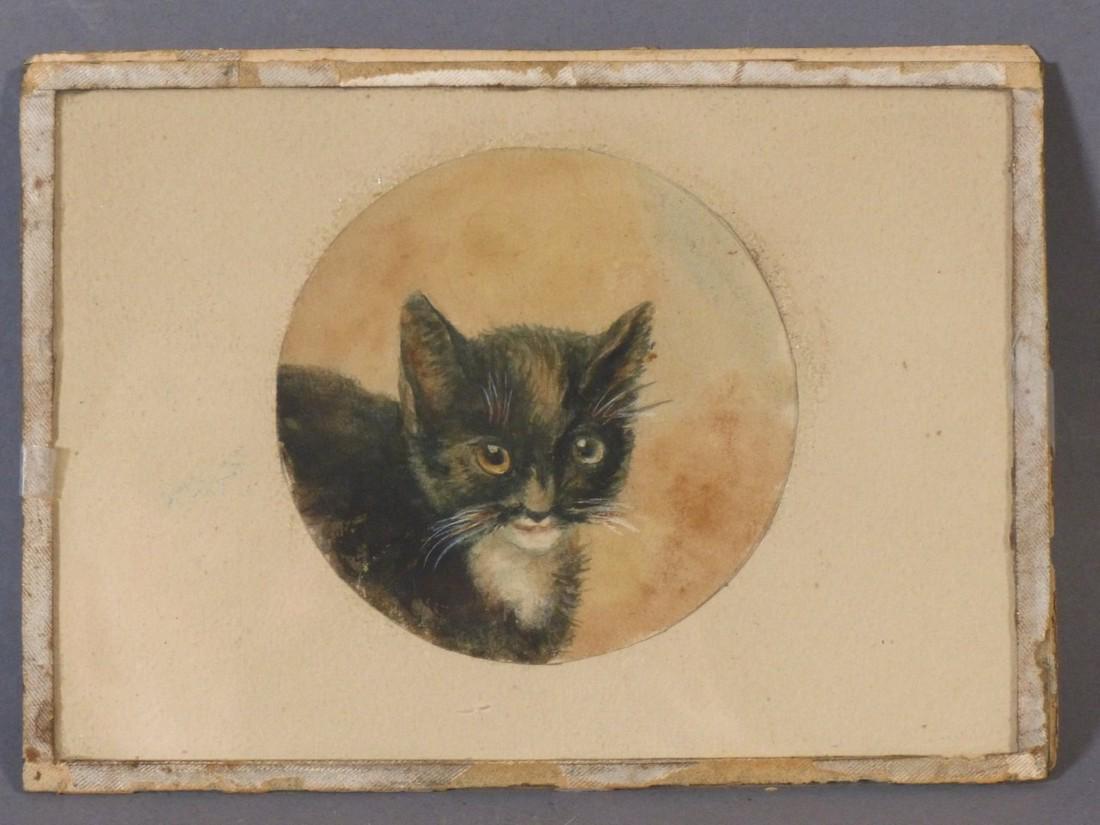 Wonderful, Small Portrait of a Black & White Kitten... (1 of 4)