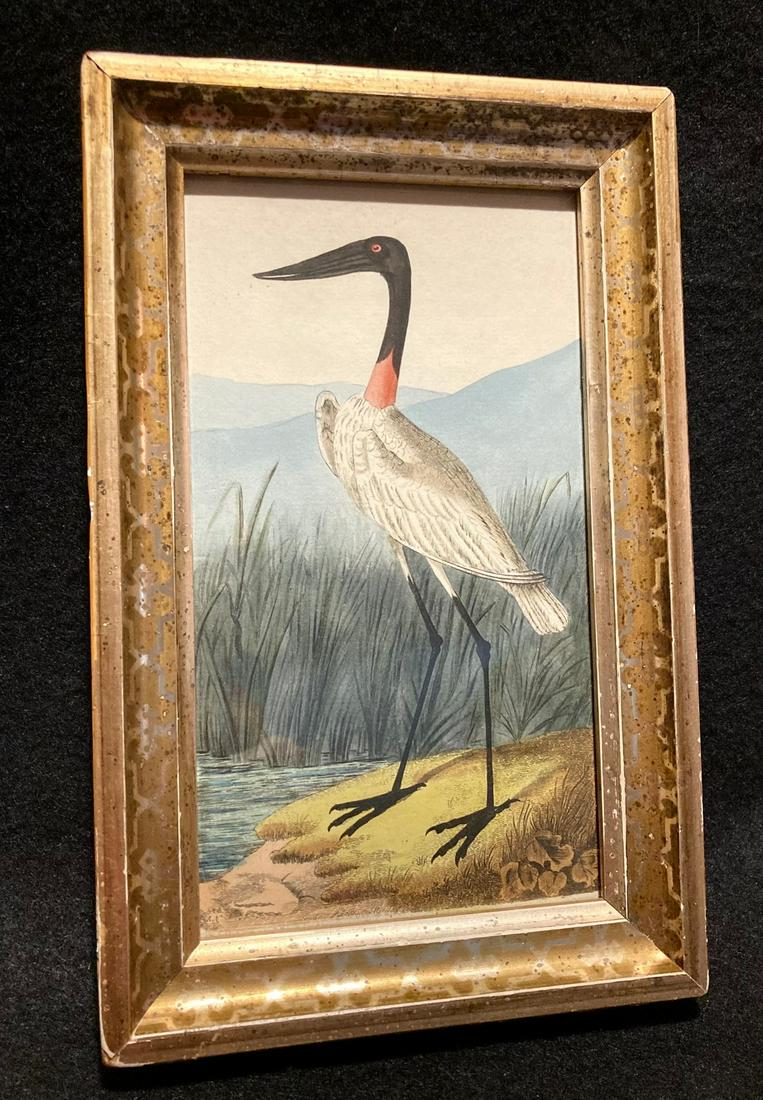 Dated 1790 fine hand colored copperplate engraving (1 of 5)