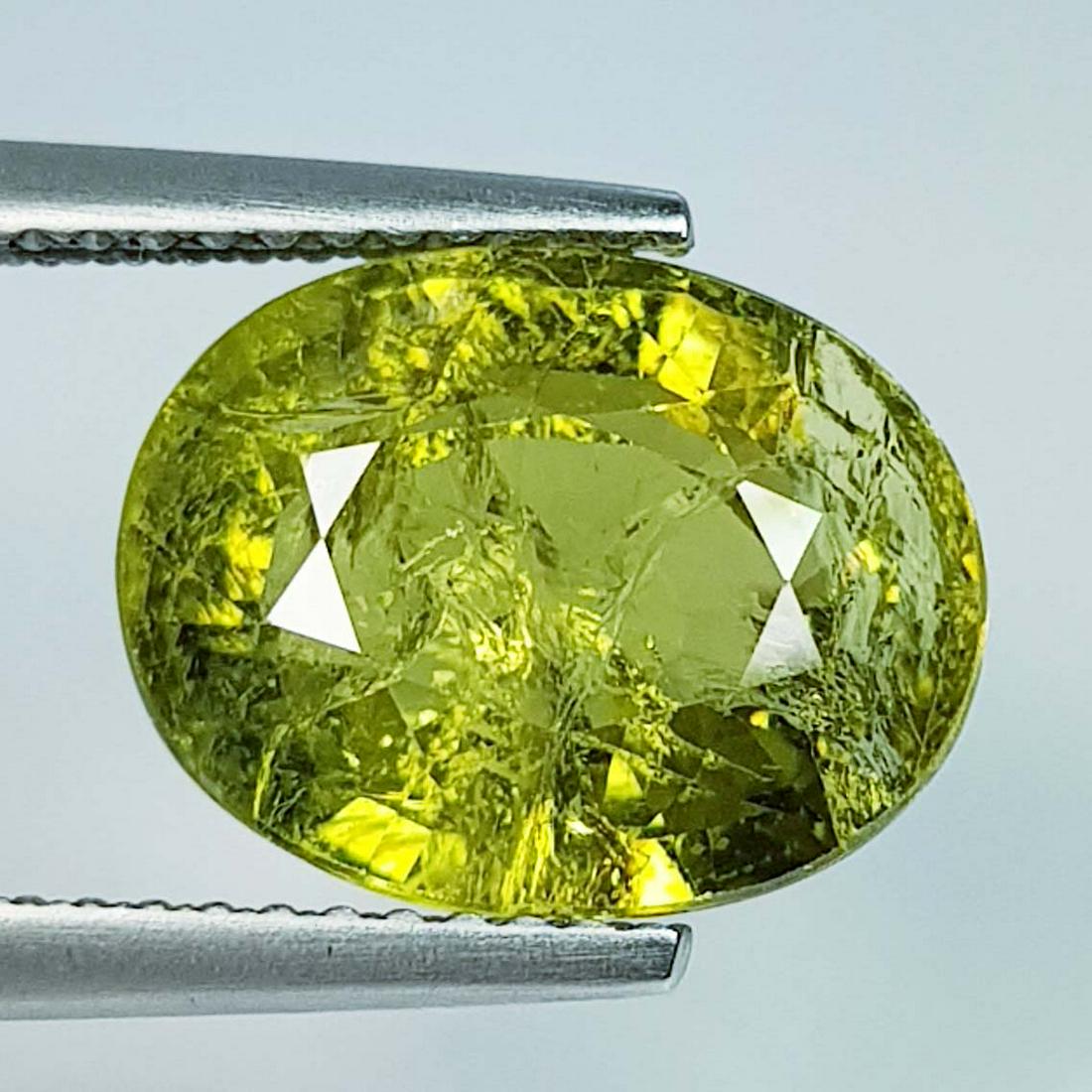 Natural Mali Garnet Oval Cut - 6.73 ct (1 of 2)