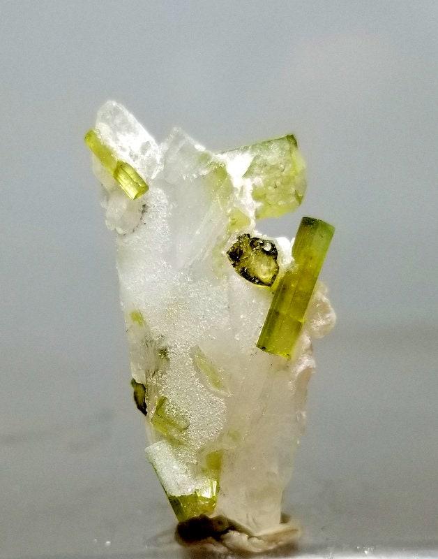 25 Carets Lovely Natural undamag Green Tourmaline: 25 Carets Lovely Natural undamag Green Tourmaline Crystals With Quartz specimen from skardu pakistan size 31mm 7mm 13mm weight 25 Carets Reserve: $10.00 Shipping: Domestic: Flat-rate of $10.00 to anyw