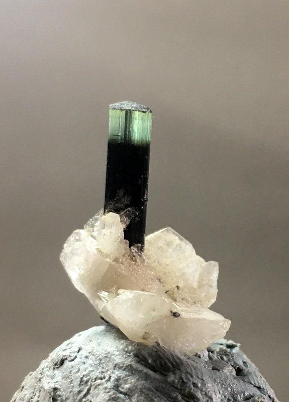 9.25 Carats Very Beautiful Green Cap ( Astak Nala ) (1 of 6)