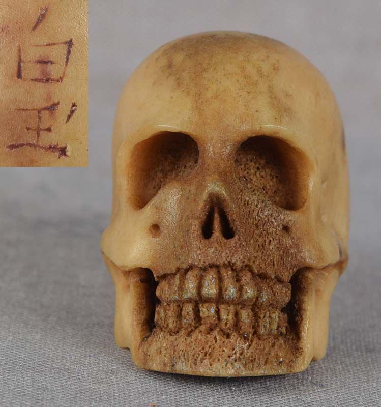 19c staghorn netsuke SKULL by HAKUGYOKU: 19th century staghorn netsuke of a grinning human skull. Excellent Buddhist subject, great facial expression (if you can call it that), darker areas as is usual with staghorn, which, in fact, makes it