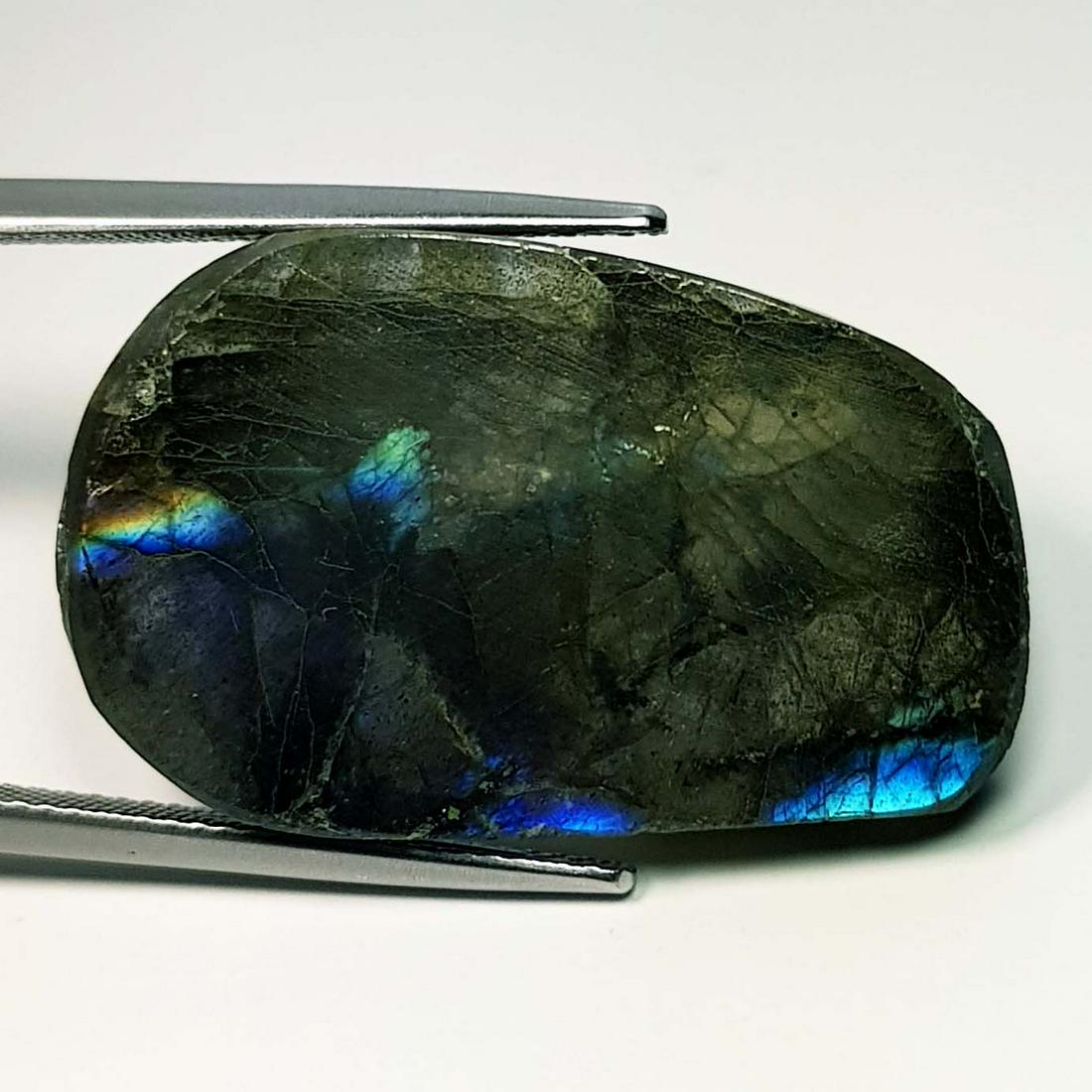 31.56 ct Natural Labradorite Slice: No Reserve! Title: 31.56 ct Natural Labradorite Slice Color/Clarity: Opaque Carat Weight: 31.56 Dimensions: 29.50 x 18.50 x 5.40 Additional Information: Fancy - USA Shipping: Domestic: Flat-rate of $