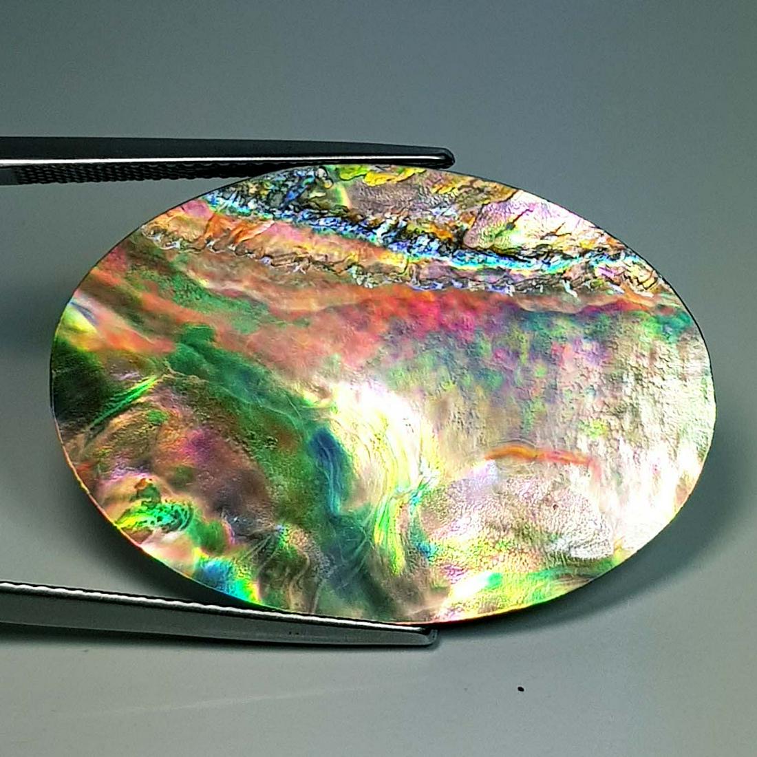 21.92 ct Natural Australian Abalon: No Reserve! Title: 21.92 ct Natural Australian Abalon Color/Clarity: Opaque Carat Weight: 21.92 Dimensions: 32.65 x 22.60 x 3.95 Additional Information: Oval - Australia Shipping: Domestic: Flat-rate