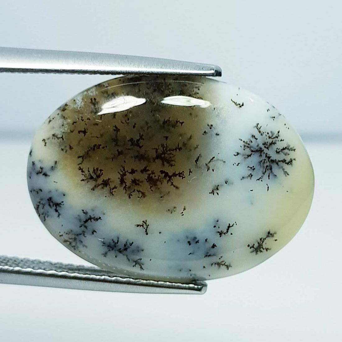 10.21 ct Natural Dendrite Opal: No Reserve! Title: 10.21 ct Natural Dendrite Opal Color/Clarity: Opaque Carat Weight: 10.21 Dimensions: 21.35 x 15.75 x 4.40 Additional Information: Oval / Australia Shipping: Domestic: Flat-rate of