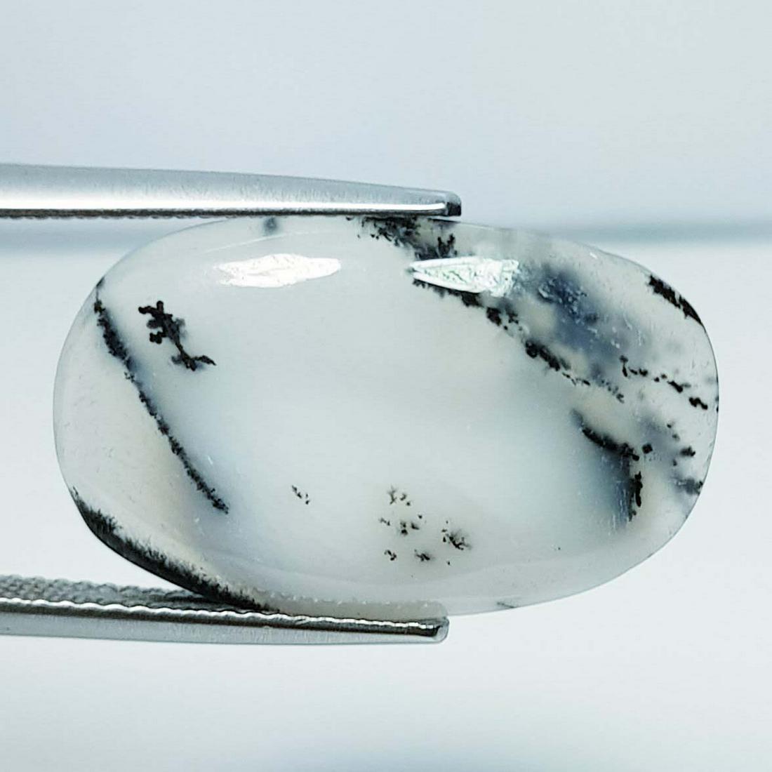 12.70 ct Natural Dendrite Opal: No Reserve! Title: 12.70 ct Natural Dendrite Opal Color/Clarity: Opaque Carat Weight: 12.7 Dimensions: 23.25 x 14.40 x 4.60 Additional Information: Oval / Australia Shipping: Domestic: Flat-rate of $
