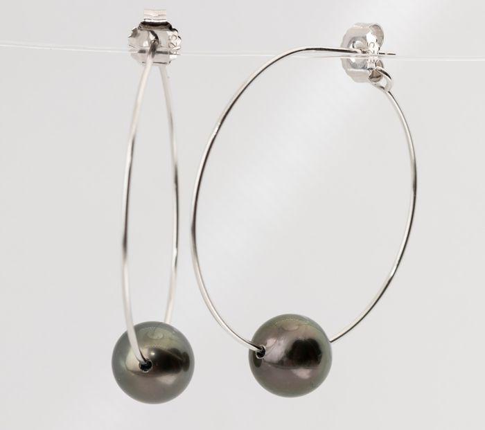9x10mm Peacock Tahitian Pearls - 925 Silver - Earrings (1 of 7)