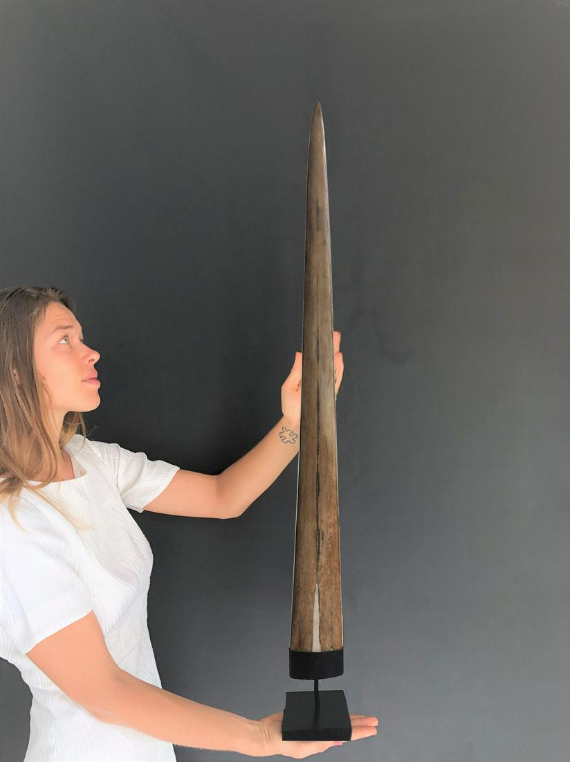 Carved swordfish tusk - Maori Mangapore: Title: Carved swordfish tusk - Maori Mangapore Maker: Unknown Origin: Indonesia Date/Period: 2021 Materials: Bone, Steel, Xiphias Gladius Dimensions:Height including stand: 89 cm / 35 inches Descripti