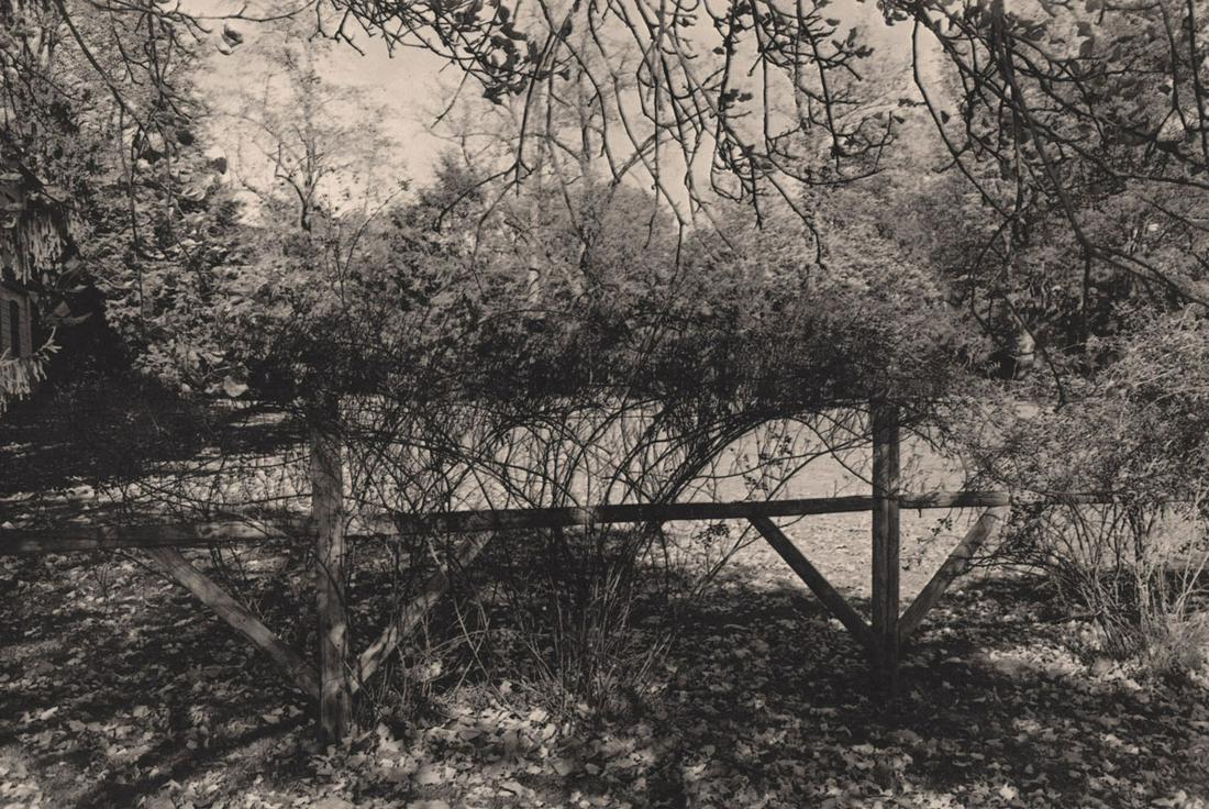 LEE FRIEDLANDER-Orange NJ, 1974: Artist: LEE FRIEDLANDER Print Title: Orange NJ, 1974 Medium: Authentic Vintage Photoengraving Printed 1980's in the US Image size (inches) approx. 7 x 11” Lee Friedlander is an American photogra