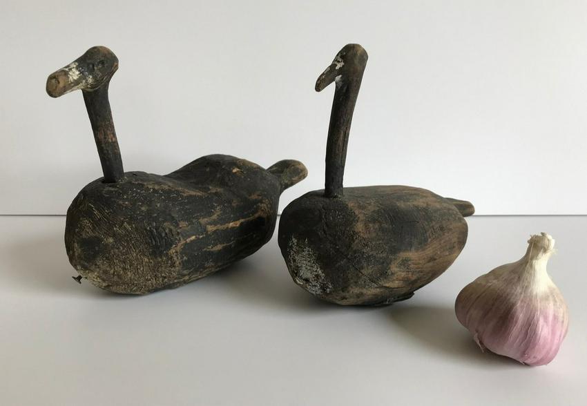 Pair of Folky Coots (1 of 2)