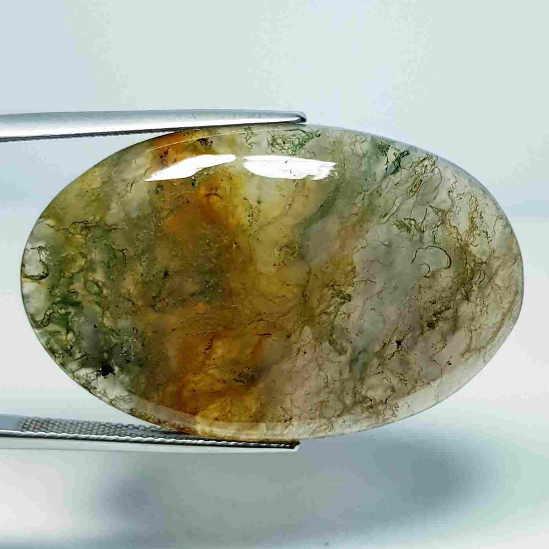 49.16 ct Natural Ocean Jasper: No Reserve! Title: 49.16 ct Natural Ocean Jasper Color/Clarity: Opaque Carat Weight: 49.16 Size/Dimensions: 38.60 x 24.90 x 6.35 Additional Information: Oval - Brazil Shipping: Domestic: Flat-rate of