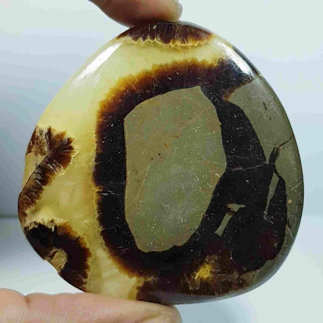159.56 Ct Natural Jasper: No Reserve! Title: 159.56 Ct Natural Jasper Color/Clarity: Opaque Carat Weight: 159.56 Size/Dimensions: 55.55 x 55.50 x 5.85 Additional Information: Fancy - Africa Shipping: Domestic: Flat-rate of $7