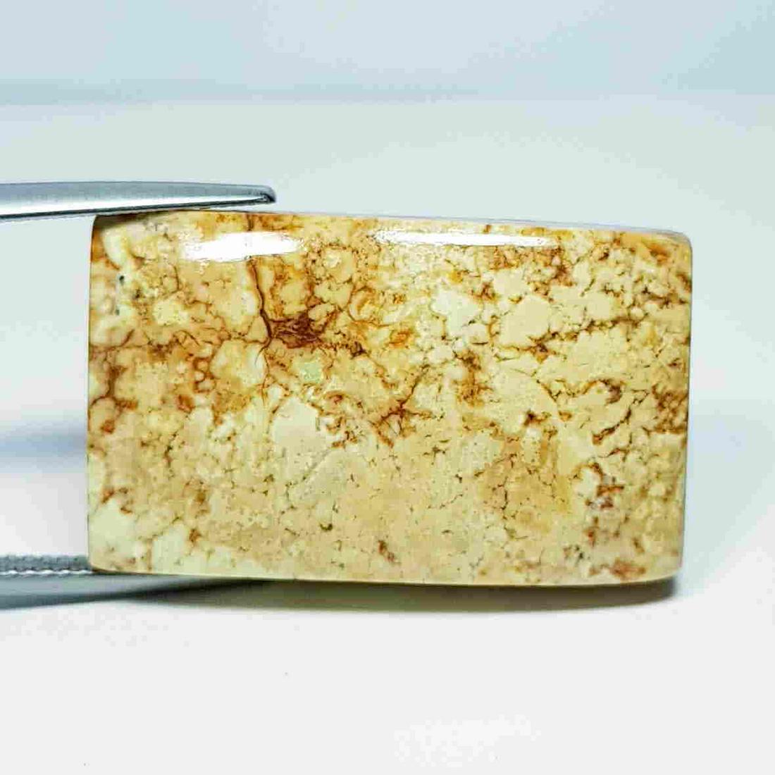 51.20 Ct Natural China Jasper: No Reserve! Title: 51.20 Ct Natural China Jasper Color/Clarity: Opaque Carat Weight: 51.2 Size/Dimensions: 29.50 x 17.95 x 8.30 Additional Information: Rectangular - Africa Shipping: Domestic: Flat-r