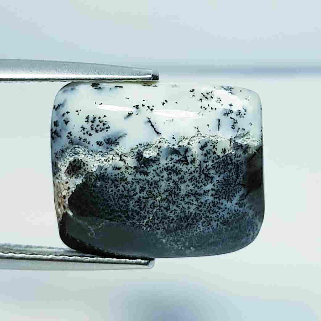 7.58 ct Natural Dendrite Opal: No Reserve! Title: 7.58 ct Natural Dendrite Opal Color/Clarity: Opaque Carat Weight: 7.58 Size/Dimensions: 15.90 x 13.50 x 4.80 Additional Information: Rectangular / Australia Shipping: Domestic: Fla