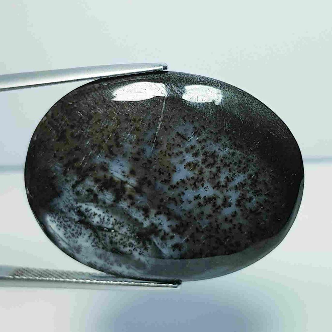 33.70 ct Natural Dendrite Opal: No Reserve! Title: 33.70 ct Natural Dendrite Opal Color/Clarity: Opaque Carat Weight: 33.7 Size/Dimensions: 34.15 x 26.25 x 5.00 Additional Information: Oval / Australia Shipping: Domestic: Flat-rate