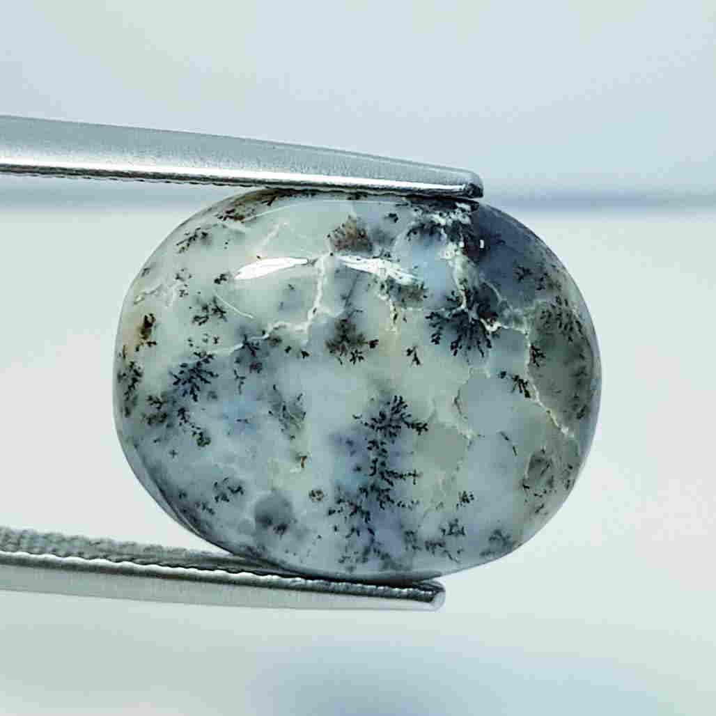 7.24 ct Natural Dendrite Opal: No Reserve! Title: 7.24 ct Natural Dendrite Opal Color/Clarity: Opaque Carat Weight: 7.24 Size/Dimensions: 16.20 x 13.20 x 5.00 Additional Information: Oval / Australia Shipping: Domestic: Flat-rate