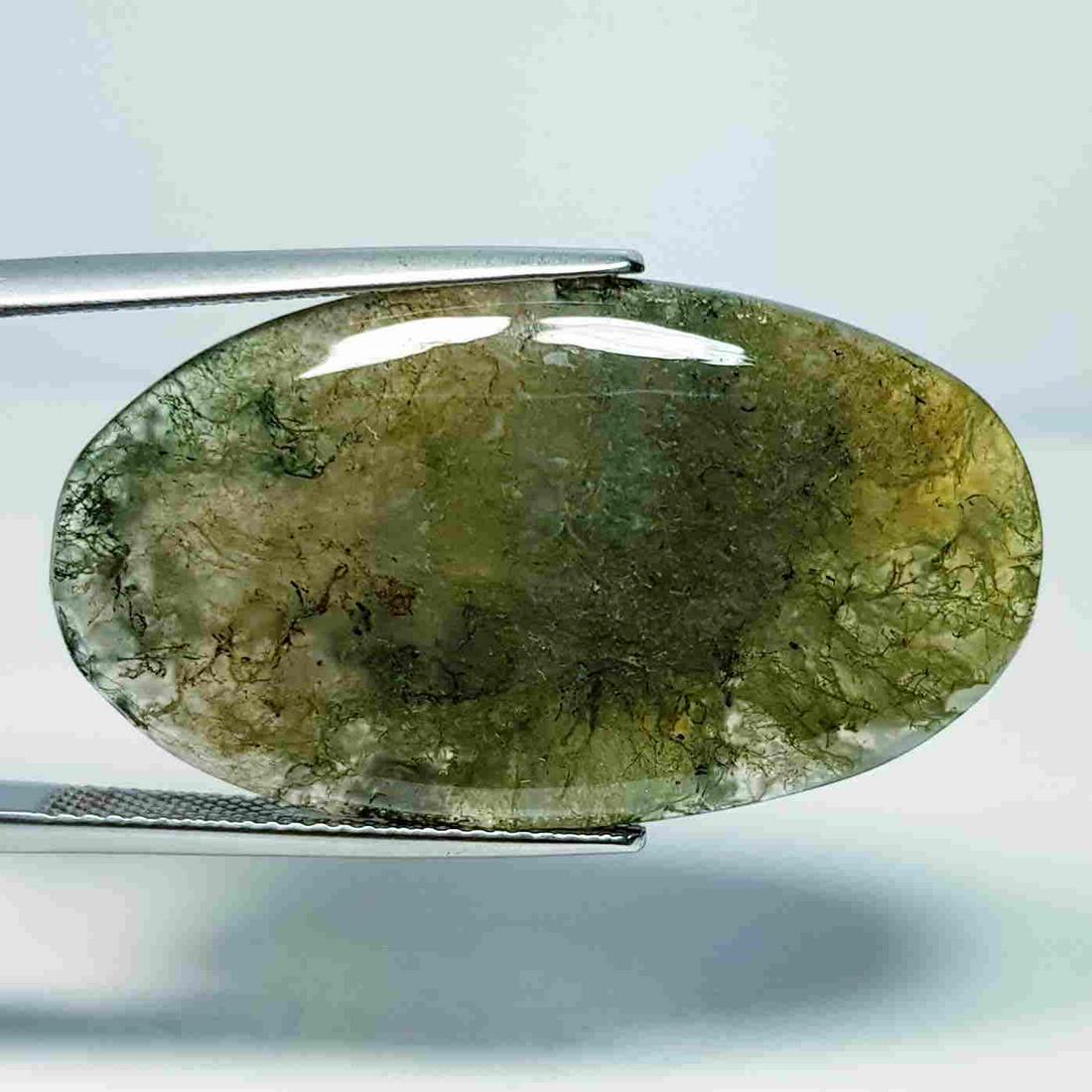 26.50 ct Natural Ocean Jasper: No Reserve! Title: 26.50 ct Natural Ocean Jasper Color/Clarity: Opaque Carat Weight: 26.5 Size/Dimensions: 35.50 x 20.10 x 4.55 Additional Information: Oval - Brazil Shipping: Domestic: Flat-rate of