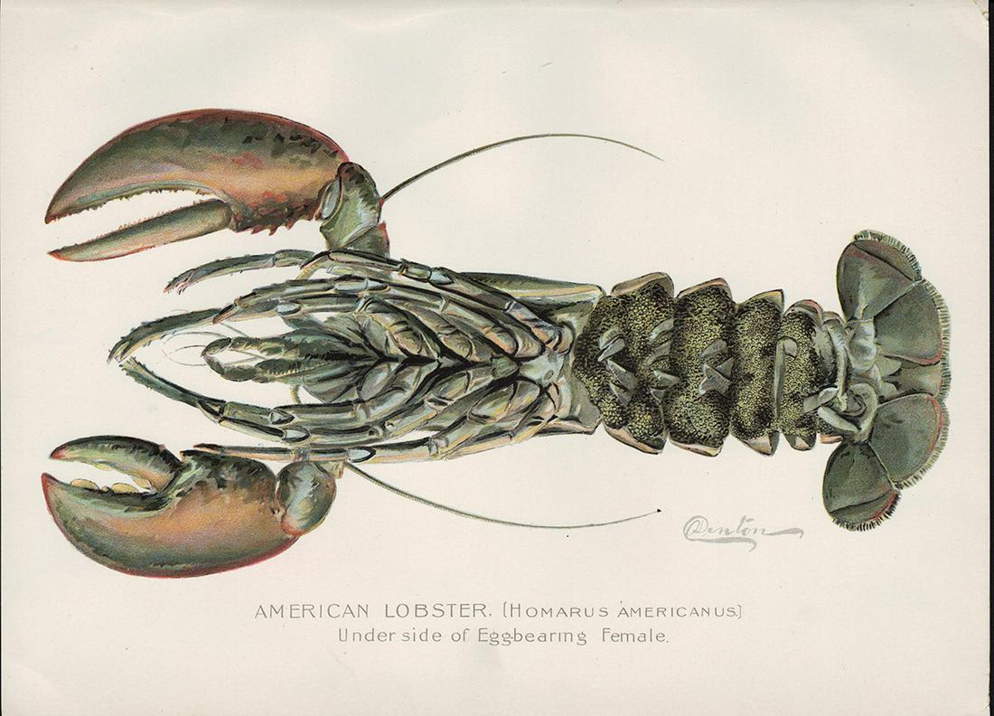 1862 RR map of Mass., Conn., Rhode Island, Mitchell (1 of 4)