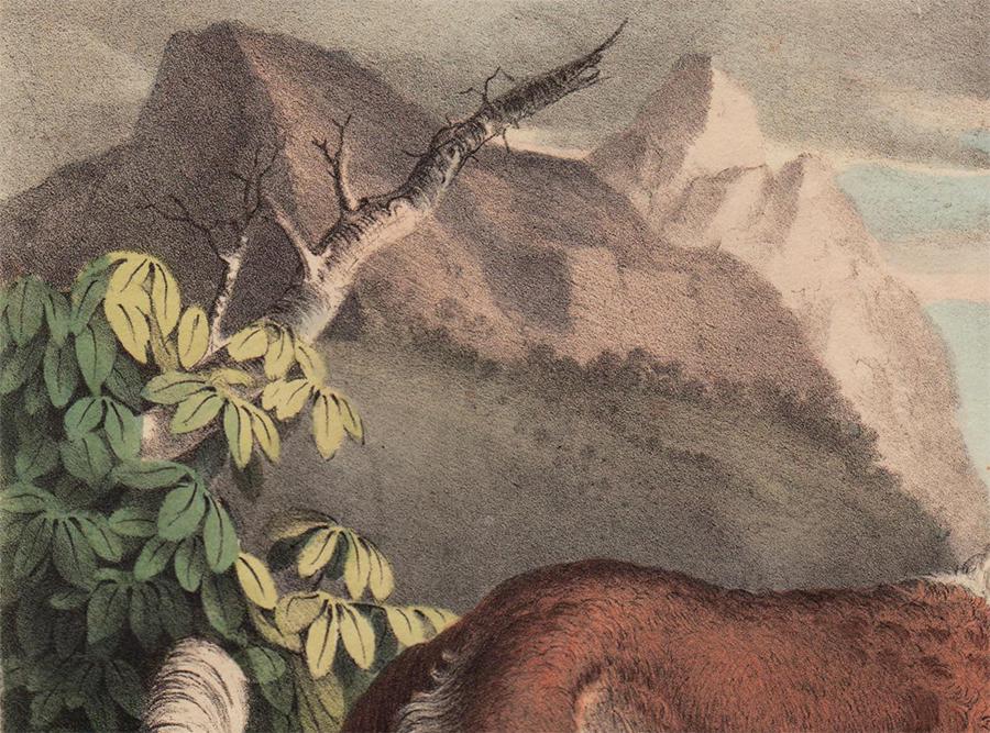 1764 Bellin map of Manhattan (Hayward 1861) (1 of 3)