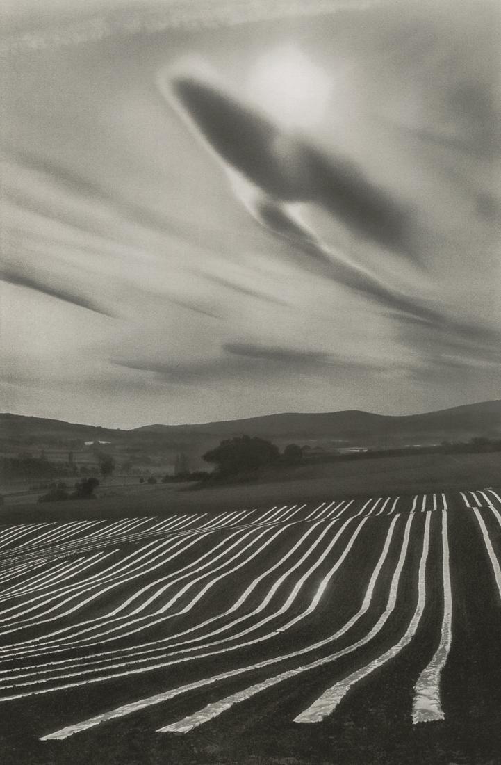 MARTINE FRANCK - Melon Plantations, France, 1976: Artist: Martine Franck Title: Melon Plantations, Cereste, France, 1976 Medium: Photo Litho, 2008, China Dimensions: 6.95x10.5" Description: Heat Wax Mounted on 11x14" Conservation Board Artist Bio: Ma