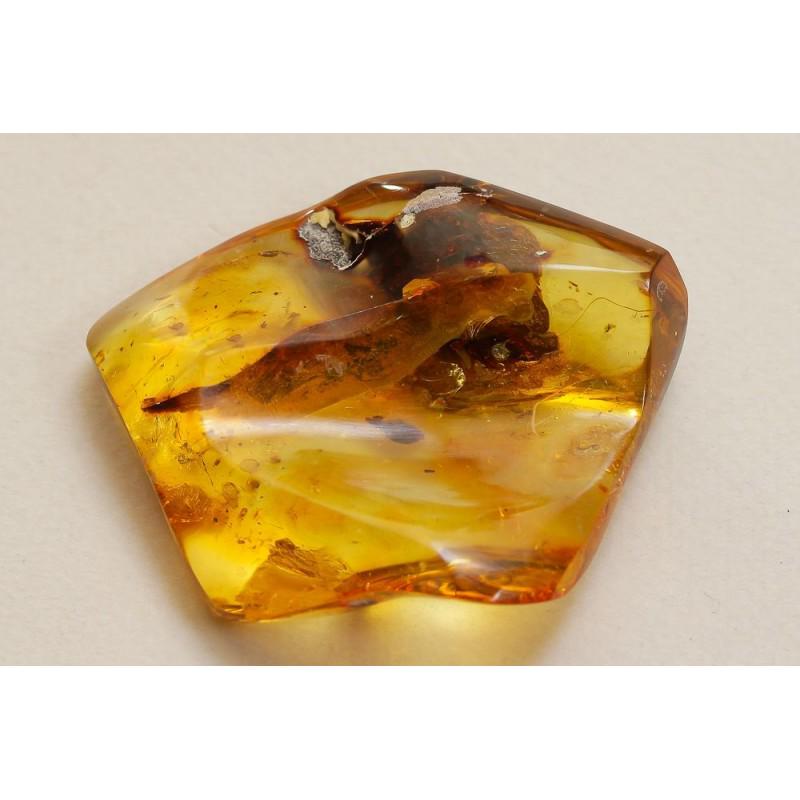27 g. 100% Natural Baltic amber inclusions Coleoptera (1 of 8)