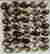 item-120317785=2