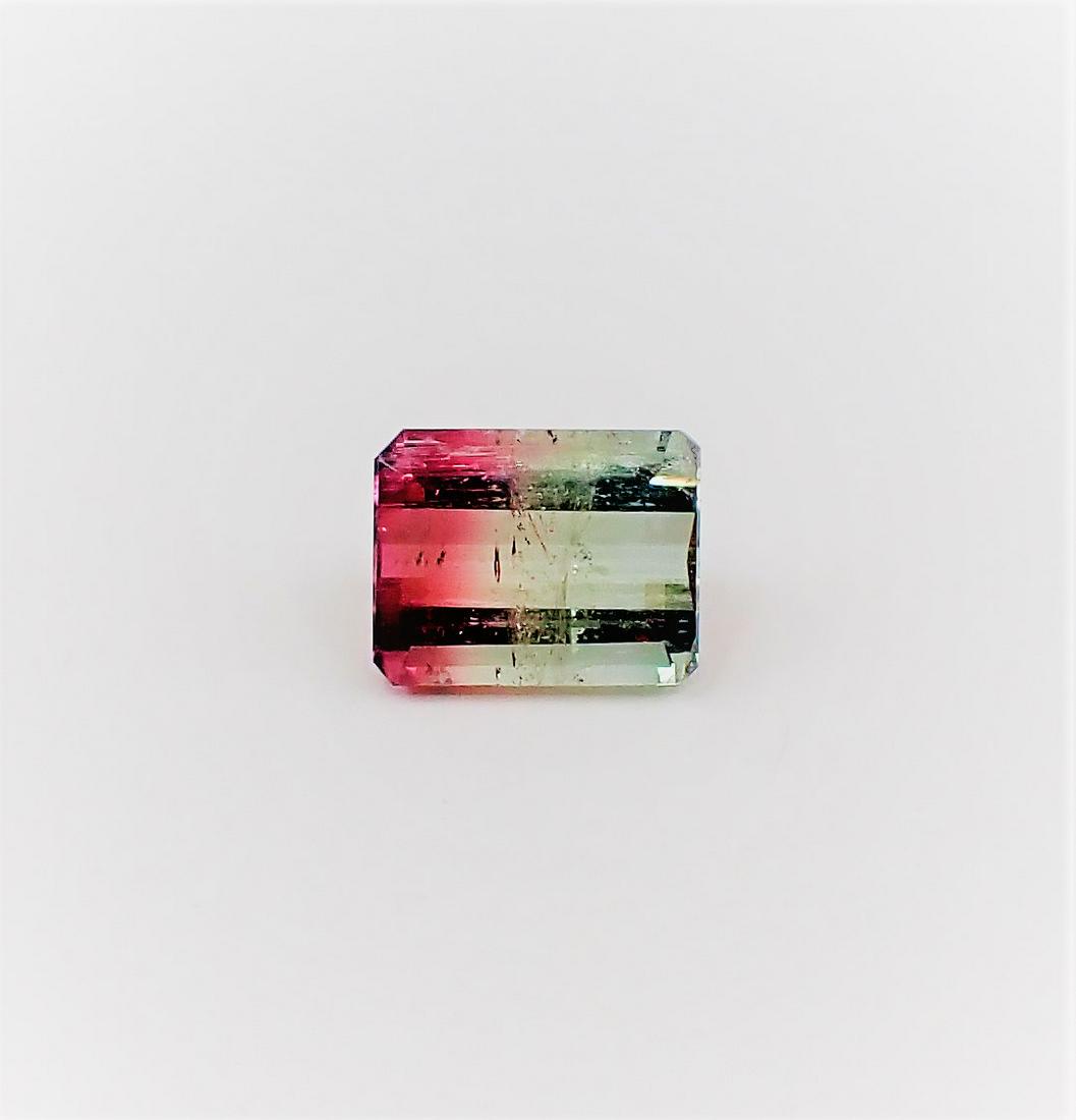 Bi-Color Tourmaline - 6.20 ct (1 of 6)