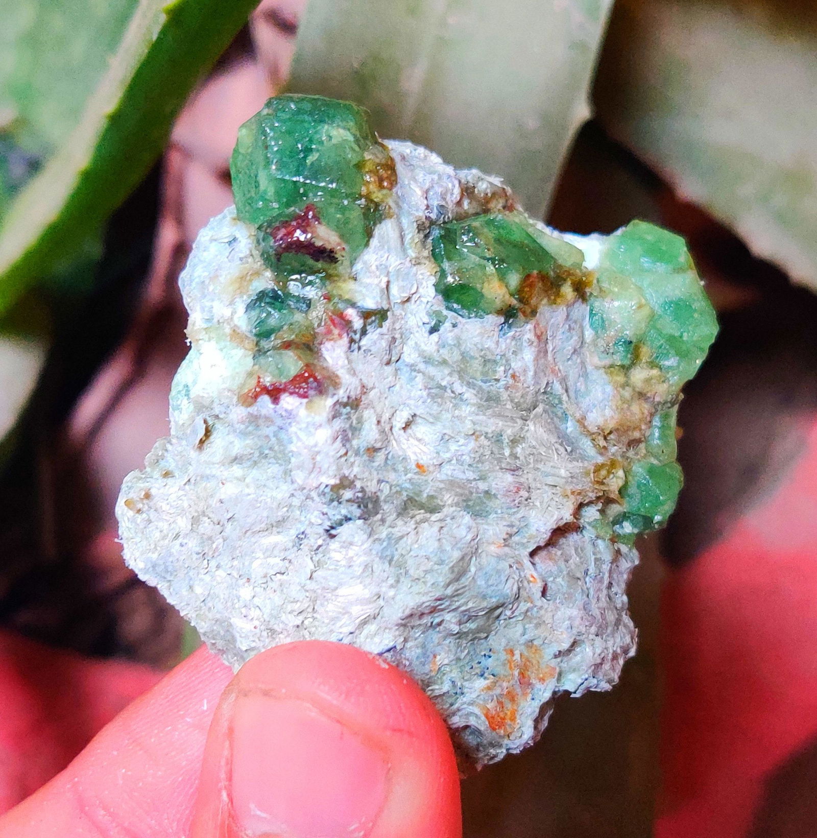 Garnet Crystal Terminated And Undamaged Green Color (1 of 5)