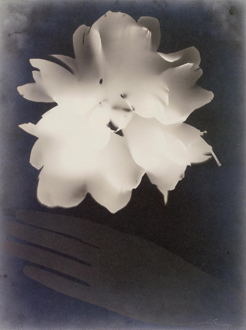 MAN RAY - Untitled (Peony and Glove), 1924: Artist: Man Ray Title: Untitled (Peony and Glove), 1924 Medium: Photo Litho, 2006, Japan Dimensions: 6.6x8.85" Description: Heat Wax Mounted on 11x14" Conservation Board Artist Bio: Man Ray, original 