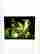 item-120593477=1