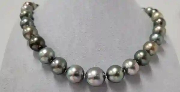 11x13.7mm Bright Multi Tahitian Pearls - Necklace: Description: A stunning multi-coloured necklace of Tahitian pearls, selected for their shimmering peacock, pistachio, aubergine, olive and blue overtones, and finished with solid invisible clasp. The 