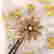 item-120682865=2