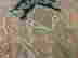 item-120853507=7