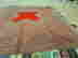 item-120853524=5