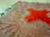 item-120853524=6